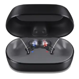 Oticon Zeal